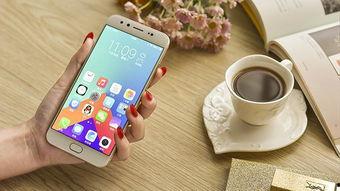 手机国产看片,畅享本土影视盛宴